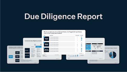 Due Diligence
Report