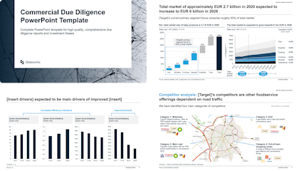 Example of a Due Diligence
Report template separated into different steps