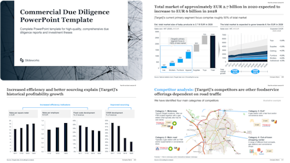 Example of a Due Diligence
Report template separated into different steps